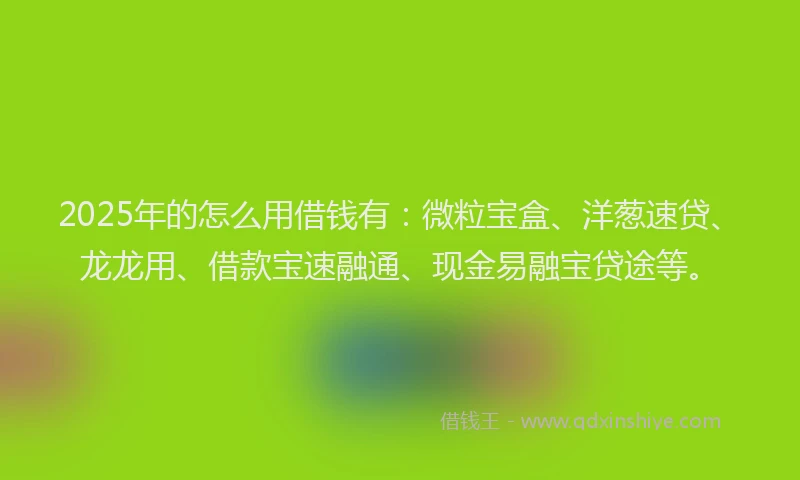 2025年的怎么用借钱有：微粒宝盒、洋葱速贷、龙龙用、借款宝速融通、现金易融宝贷途等。