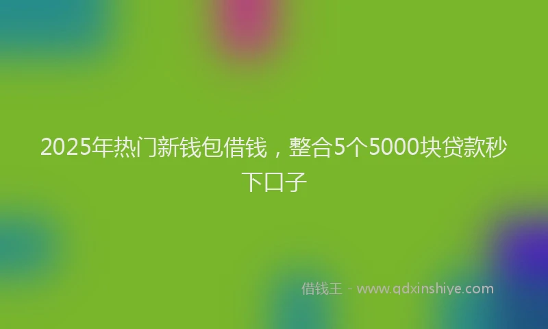 2025年热门新钱包借钱，整合5个5000块贷款秒下口子