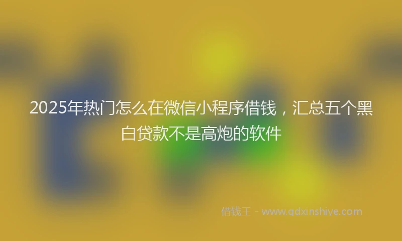 2025年热门怎么在微信小程序借钱，汇总五个黑白贷款不是高炮的软件