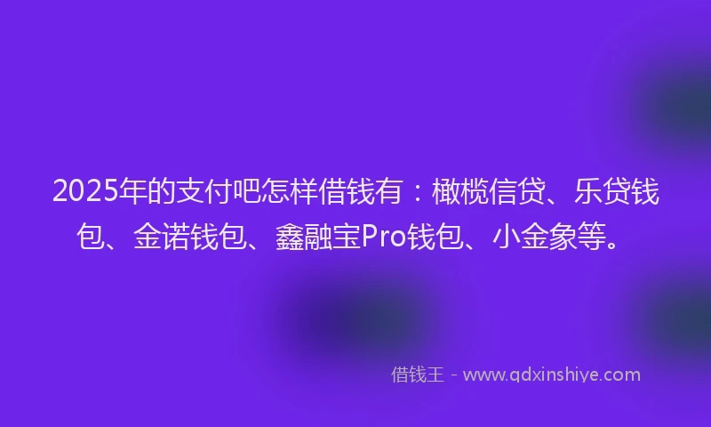 2025年的支付吧怎样借钱有：橄榄信贷、乐贷钱包、金诺钱包、鑫融宝Pro钱包、小金象等。