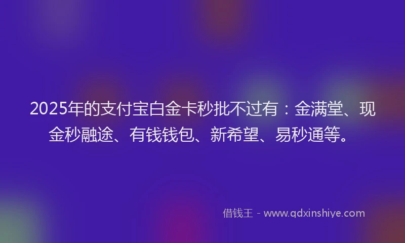 2025年的支付宝白金卡秒批不过有：金满堂、现金秒融途、有钱钱包、新希望、易秒通等。