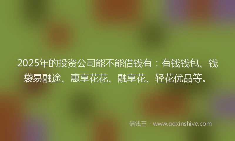 2025年的投资公司能不能借钱有：有钱钱包、钱袋易融途、惠享花花、融享花、轻花优品等。