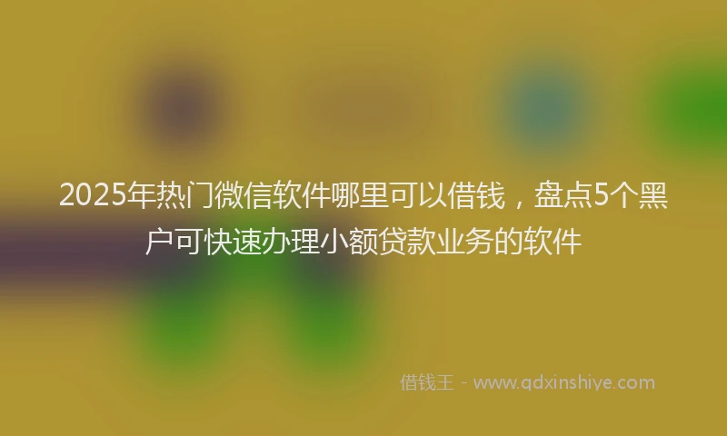 2025年热门微信软件哪里可以借钱，盘点5个黑户可快速办理小额贷款业务的软件