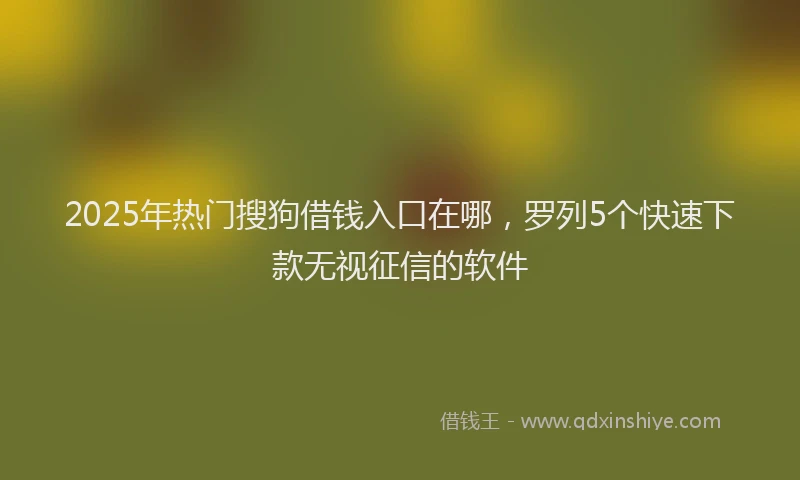 2025年热门搜狗借钱入口在哪，罗列5个快速下款无视征信的软件
