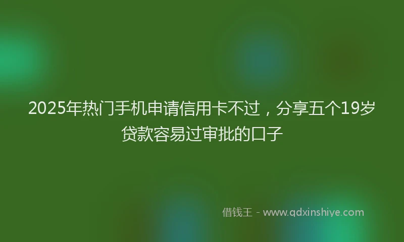 2025年热门手机申请信用卡不过，分享五个19岁贷款容易过审批的口子