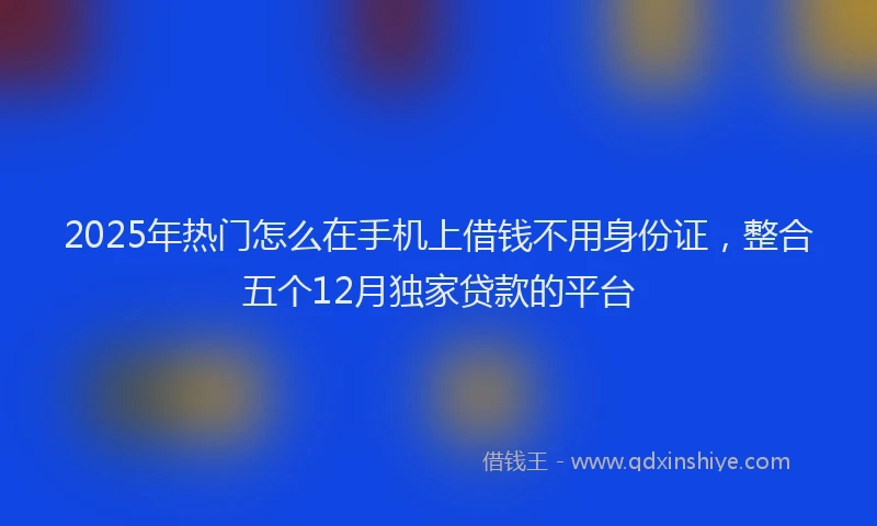2025年热门怎么在手机上借钱不用身份证，整合五个12月独家贷款的平台