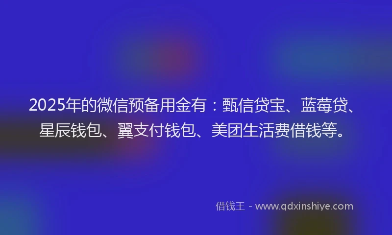 2025年的微信预备用金有：甄信贷宝、蓝莓贷、星辰钱包、翼支付钱包、美团生活费借钱等。