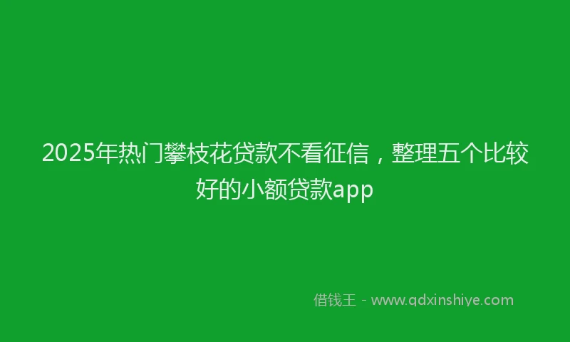 2025年热门攀枝花贷款不看征信，整理五个比较好的小额贷款app