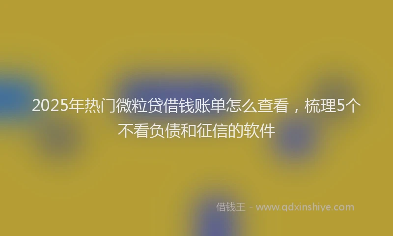 2025年热门微粒贷借钱账单怎么查看，梳理5个不看负债和征信的软件