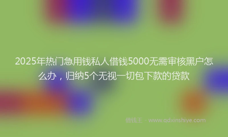 2025年热门急用钱私人借钱5000无需审核黑户怎么办，归纳5个无视一切包下款的贷款