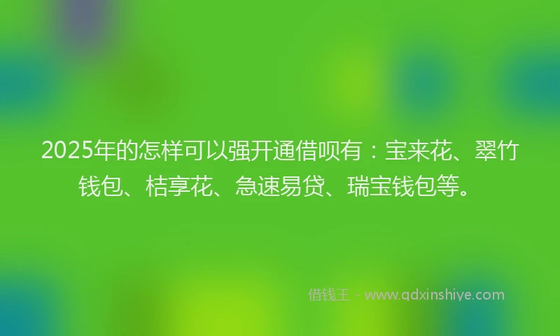 2025年的怎样可以强开通借呗有：宝来花、翠竹钱包、桔享花、急速易贷、瑞宝钱包等。