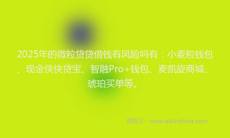 2025年的微粒贷贷借钱有风险吗有：小麦粒钱包、现金侠快贷宝、智融Pro+钱包、麦凯旋商城、琥珀买单等。