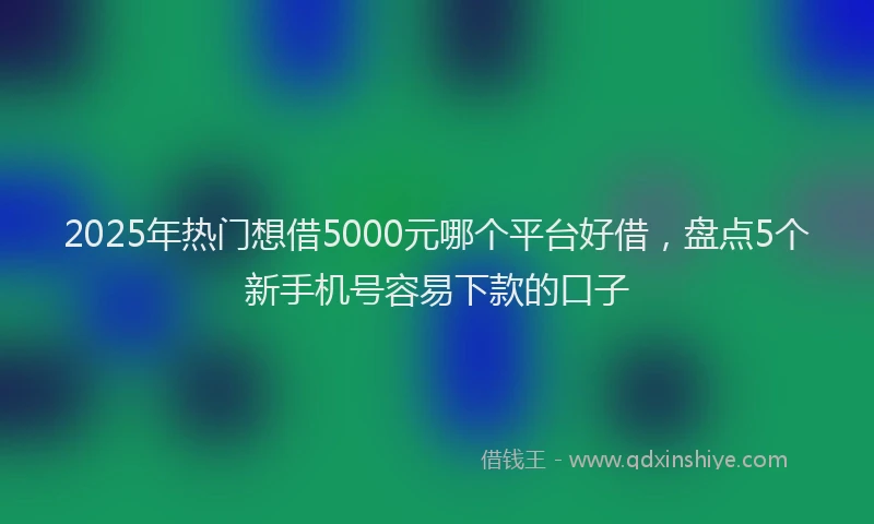 2025年热门想借5000元哪个平台好借，盘点5个新手机号容易下款的口子