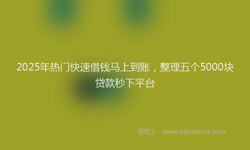 2025年热门快速借钱马上到账，整理五个5000块贷款秒下平台