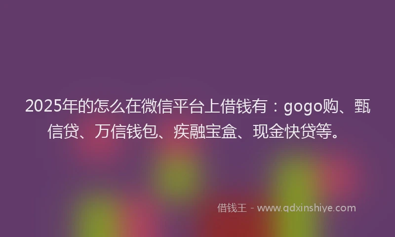 2025年的怎么在微信平台上借钱有：gogo购、甄信贷、万信钱包、疾融宝盒、现金快贷等。