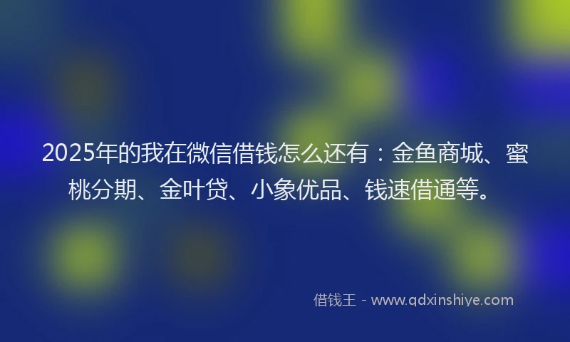 2025年的我在微信借钱怎么还有：金鱼商城、蜜桃分期、金叶贷、小象优品、钱速借通等。
