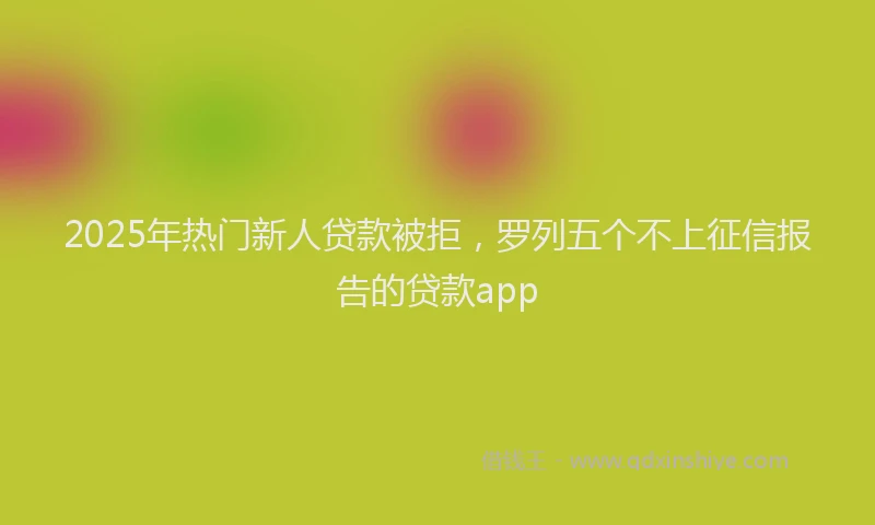 2025年热门新人贷款被拒，罗列五个不上征信报告的贷款app