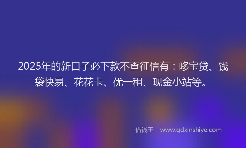 2025年的新口子必下款不查征信有：哆宝贷、钱袋快易、花花卡、优一租、现金小站等。