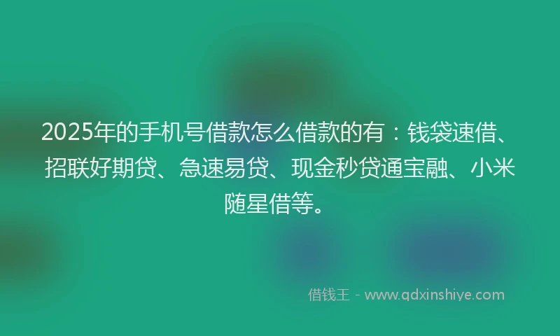 2025年的手机号借款怎么借款的有：钱袋速借、招联好期贷、急速易贷、现金秒贷通宝融、小米随星借等。