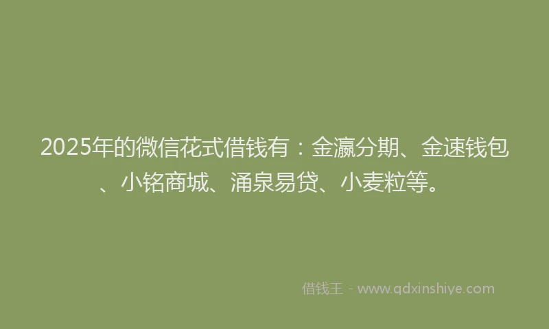 2025年的微信花式借钱有：金瀛分期、金速钱包、小铭商城、涌泉易贷、小麦粒等。