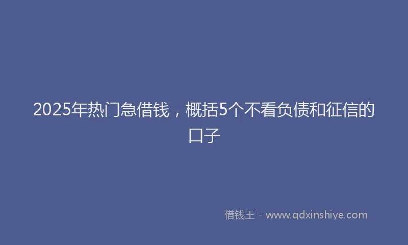 2025年热门急借钱，概括5个不看负债和征信的口子