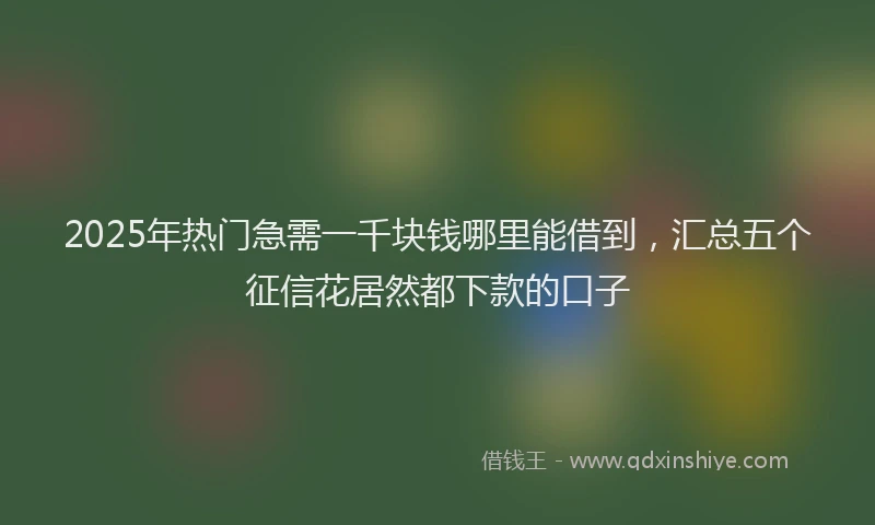 2025年热门急需一千块钱哪里能借到，汇总五个征信花居然都下款的口子