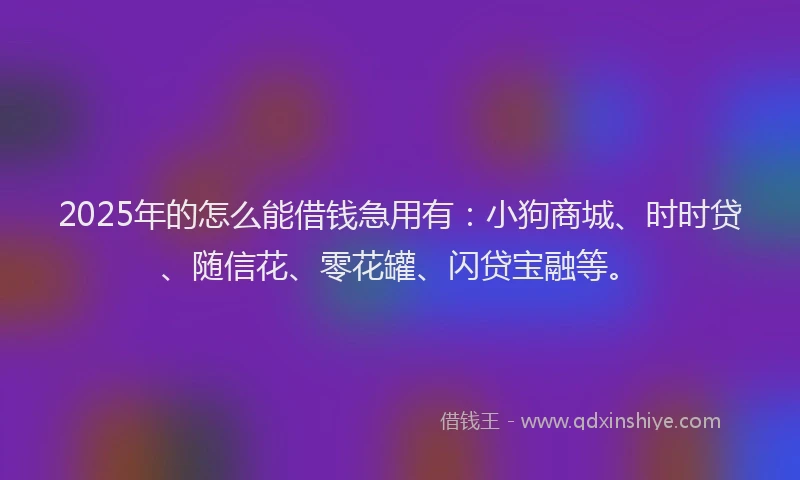 2025年的怎么能借钱急用有：小狗商城、时时贷、随信花、零花罐、闪贷宝融等。