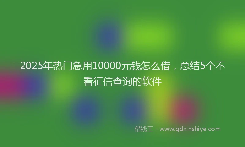 2025年热门急用10000元钱怎么借，总结5个不看征信查询的软件