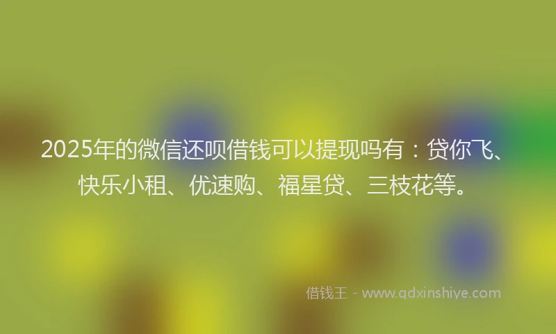 2025年的微信还呗借钱可以提现吗有：贷你飞、快乐小租、优速购、福星贷、三枝花等。