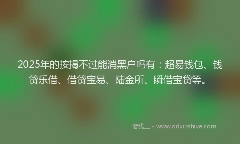 2025年的按揭不过能消黑户吗有：超易钱包、钱贷乐借、借贷宝易、陆金所、瞬借宝贷等。