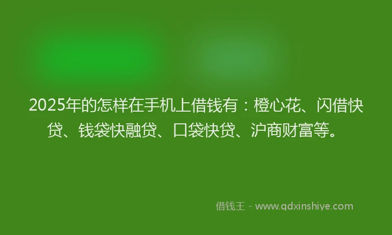 2025年的怎样在手机上借钱有：橙心花、闪借快贷、钱袋快融贷、口袋快贷、沪商财富等。