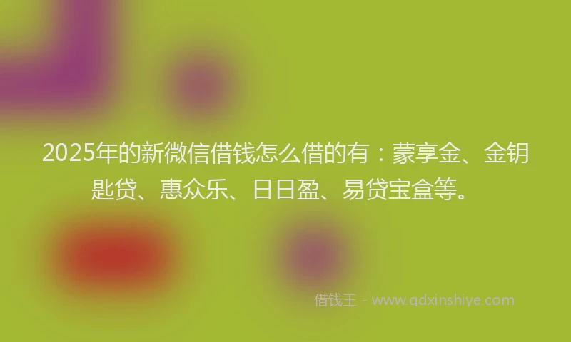 2025年的新微信借钱怎么借的有：蒙享金、金钥匙贷、惠众乐、日日盈、易贷宝盒等。