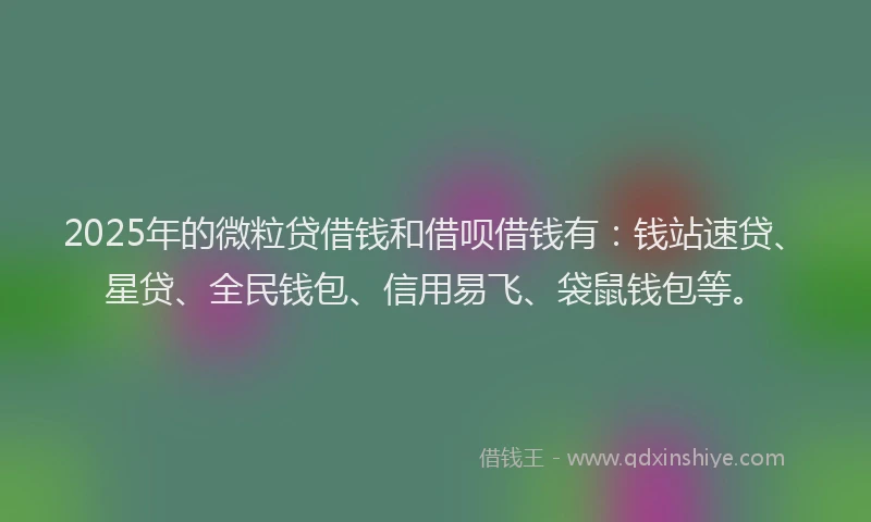 2025年的微粒贷借钱和借呗借钱有：钱站速贷、星贷、全民钱包、信用易飞、袋鼠钱包等。
