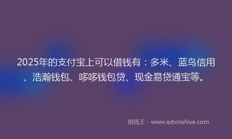 2025年的支付宝上可以借钱有：多米、蓝鸟信用、浩瀚钱包、哆哆钱包贷、现金易贷通宝等。