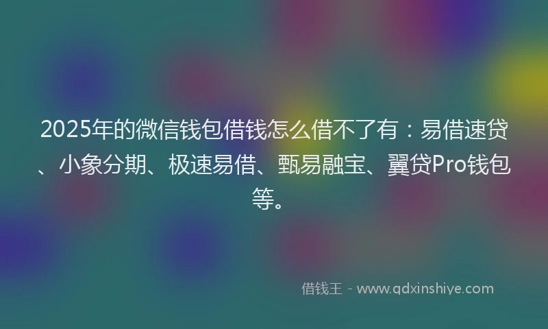 2025年的微信钱包借钱怎么借不了有：易借速贷、小象分期、极速易借、甄易融宝、翼贷Pro钱包等。