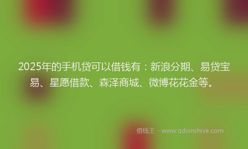 2025年的手机贷可以借钱有：新浪分期、易贷宝易、星愿借款、森泽商城、微博花花金等。