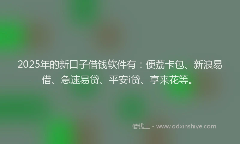 2025年的新口子借钱软件有：便荔卡包、新浪易借、急速易贷、平安i贷、享来花等。