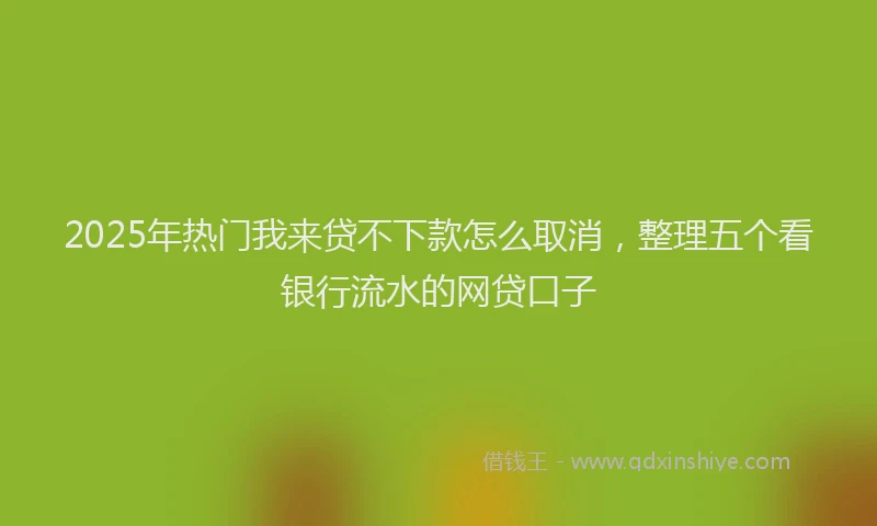 2025年热门我来贷不下款怎么取消，整理五个看银行流水的网贷口子