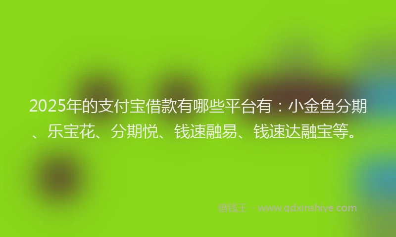 2025年的支付宝借款有哪些平台有：小金鱼分期、乐宝花、分期悦、钱速融易、钱速达融宝等。