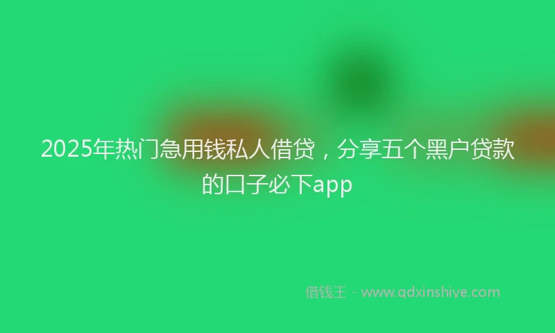 2025年热门急用钱私人借贷，分享五个黑户贷款的口子必下app