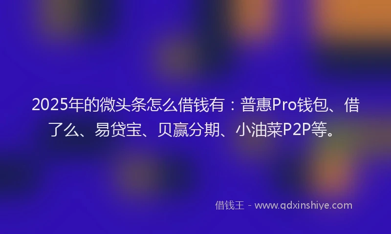 2025年的微头条怎么借钱有：普惠Pro钱包、借了么、易贷宝、贝赢分期、小油菜P2P等。