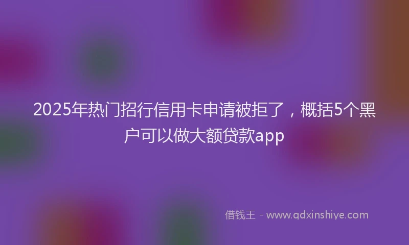 2025年热门招行信用卡申请被拒了，概括5个黑户可以做大额贷款app