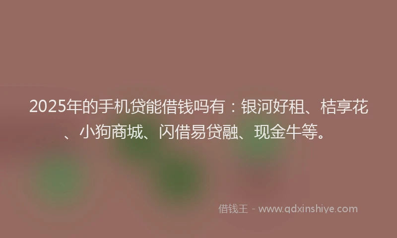 2025年的手机贷能借钱吗有：银河好租、桔享花、小狗商城、闪借易贷融、现金牛等。