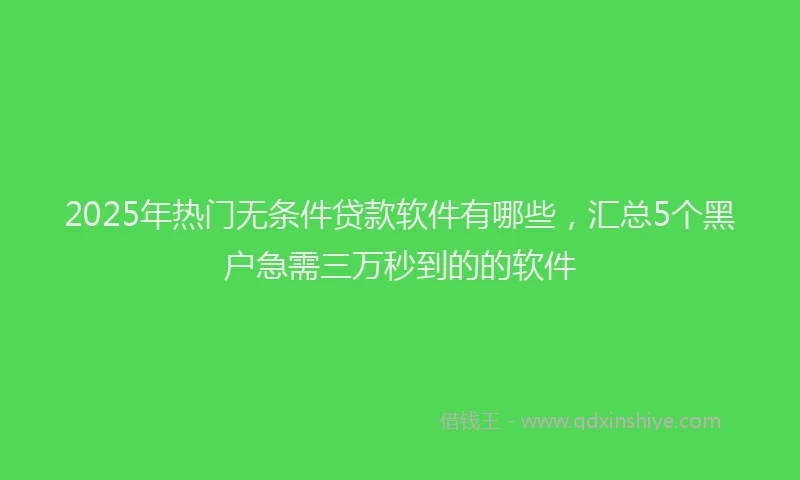 2025年热门无条件贷款软件有哪些，汇总5个黑户急需三万秒到的的软件