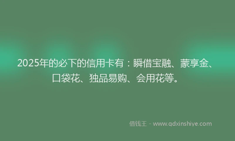 2025年的必下的信用卡有：瞬借宝融、蒙享金、口袋花、独品易购、会用花等。