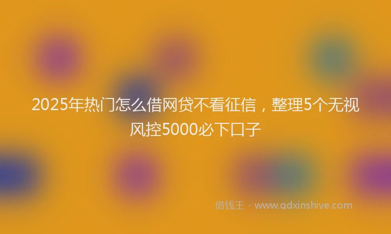 2025年热门怎么借网贷不看征信，整理5个无视风控5000必下口子