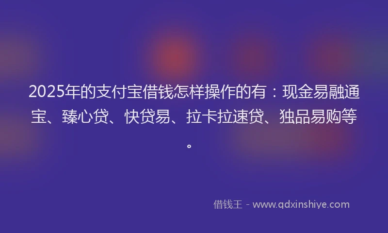 2025年的支付宝借钱怎样操作的有：现金易融通宝、臻心贷、快贷易、拉卡拉速贷、独品易购等。