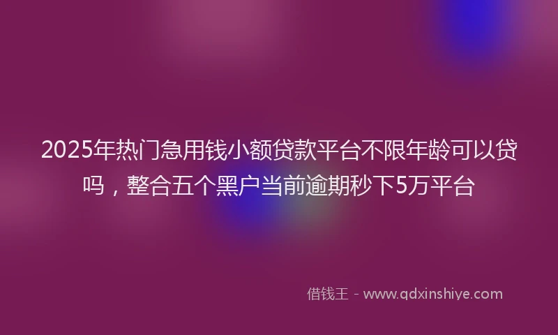 2025年热门急用钱小额贷款平台不限年龄可以贷吗，整合五个黑户当前逾期秒下5万平台