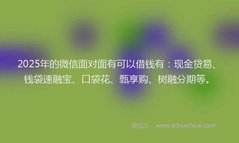 2025年的微信面对面有可以借钱有：现金贷易、钱袋速融宝、口袋花、甄享购、树融分期等。