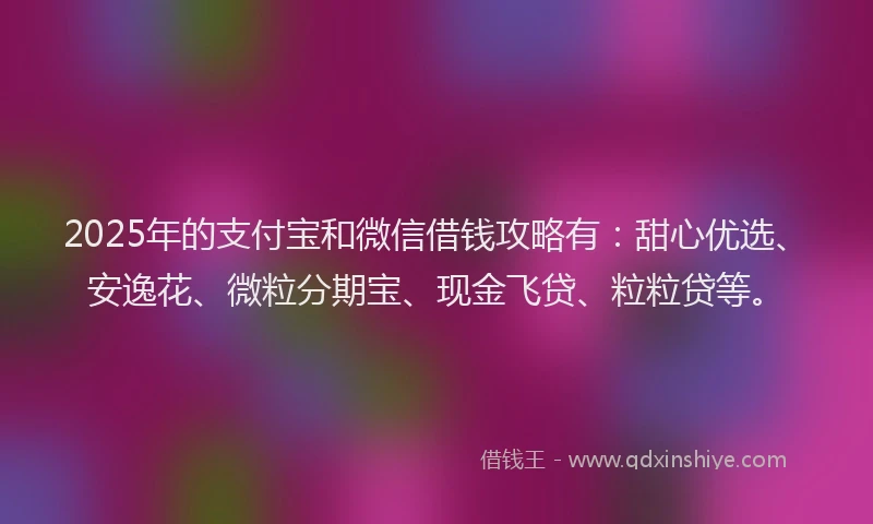 2025年的支付宝和微信借钱攻略有：甜心优选、安逸花、微粒分期宝、现金飞贷、粒粒贷等。